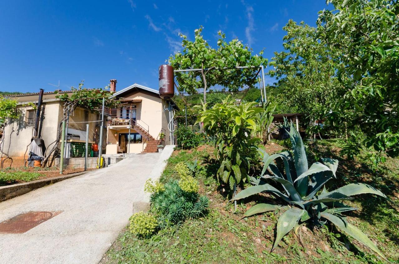 Apartament Ilinka