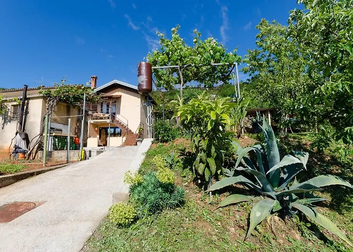 Apartments Ilinka